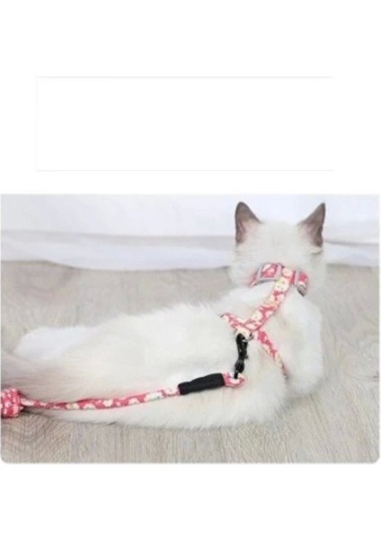 Renkli Kedi Gezdirme Göğüs Tasması, Konforlu ve Şık Tasarım modelleri