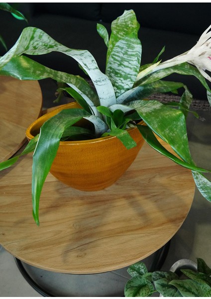 Cresta Seramik Oval Koyu Sarı Saksı 33*17*24CM