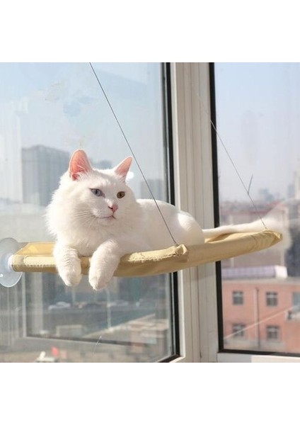 Büro Ev Ofis Evcil Pet Hayvanı Kedi Için Yatak Cama Asılan Uyku Yatağı