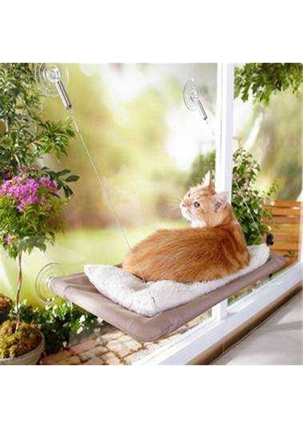 Büro Ev Ofis Evcil Pet Hayvanı Kedi Için Yatak Cama Asılan Uyku Yatağı fiyatları