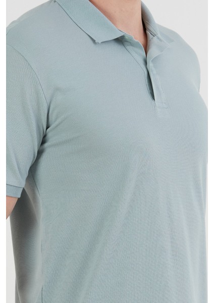 Basic Polo Yaka Yarım Düğmeli Tişört fırsatları