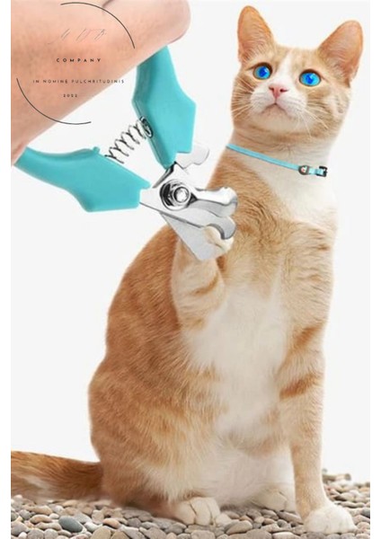 Açık Mavi Küçük Irk Kedi ve Köpek Tırnak Makası, Şık ve Pratik Tasarım