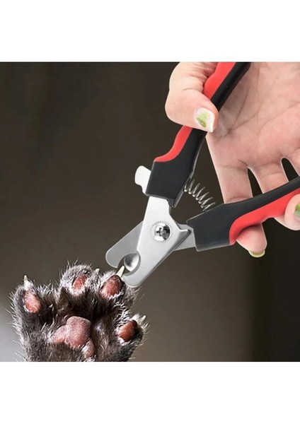 Profesyonel Evcil Hayvan Tırnak Makası Seti Paslanmaz Çelik, Hediye Seçeneği