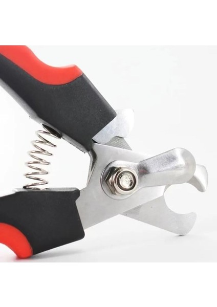 Profesyonel Evcil Hayvan Tırnak Makası Seti Paslanmaz Çelik, Hediye Seçeneği fiyatları