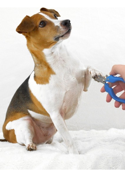 Paslanmaz Çelik Tırnak Makası, Kedi ve Köpekler Için Güçlü ve Güvenli Kesim modelleri
