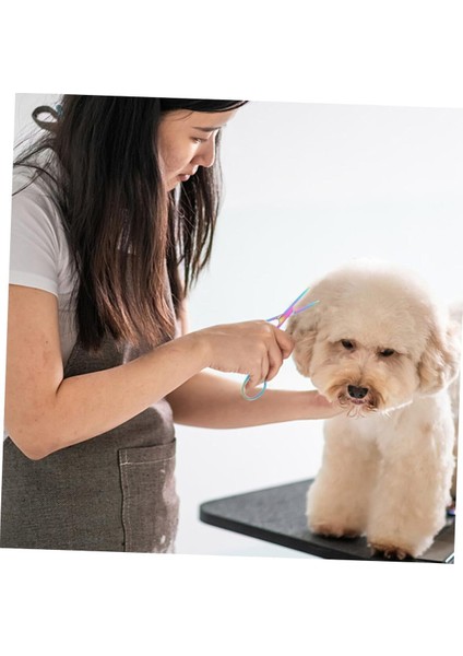 Paslanmaz Çelik Kedi Köpek Tüy Kesme ve Kulak Bakım Makası
