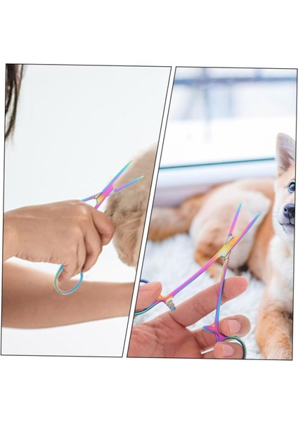 Paslanmaz Çelik Kedi Köpek Tüy Kesme ve Kulak Bakım Makası