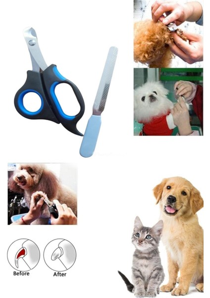 Evcil Hayvanlar Için Güvenli ve Pratik Tırnak Makası Seti, Kedi ve Köpekler Için Uygun