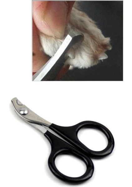Küçük Boy Kediler ve Mini Irk Köpekler Için Güvenli Tırnak Makası