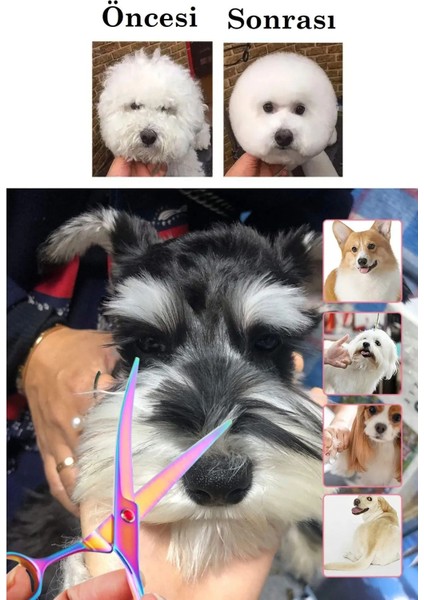 Kavisli Kedi Köpek Makası Profesyonel Kuaför Şekil Verme XLQ510 modelleri