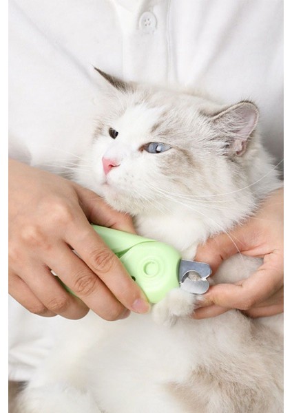 Işıklı Tırnak Makasıyla Evcil Hayvan Bakımını Kolaylaştırın