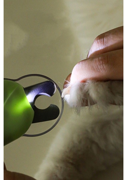 Işıklı Tırnak Makasıyla Evcil Hayvan Bakımını Kolaylaştırın fiyatları