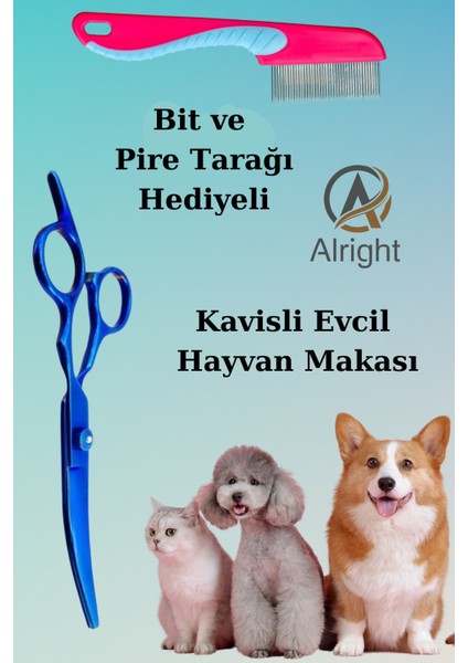 Kavisli Mavi Profesyonel Evcil Hayvan Temizlik ve Bakım Seti