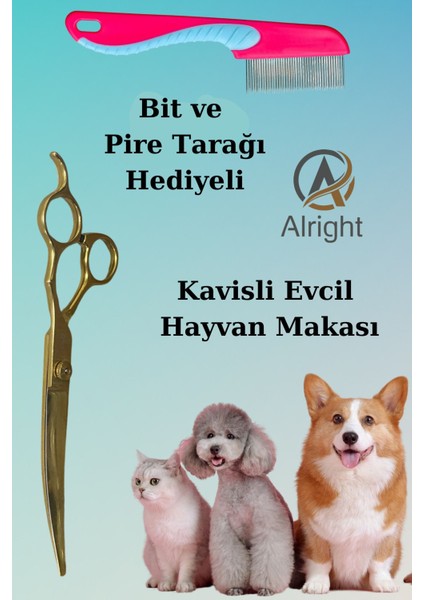 Kavisli Gold Profesyonel Evcil Hayvan Tasarım Makası ve Tarağı Seti Hediyeli