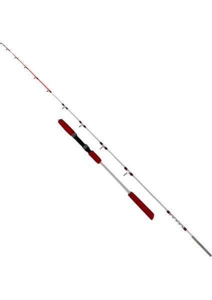 Egi Angler 1,65 150 gr