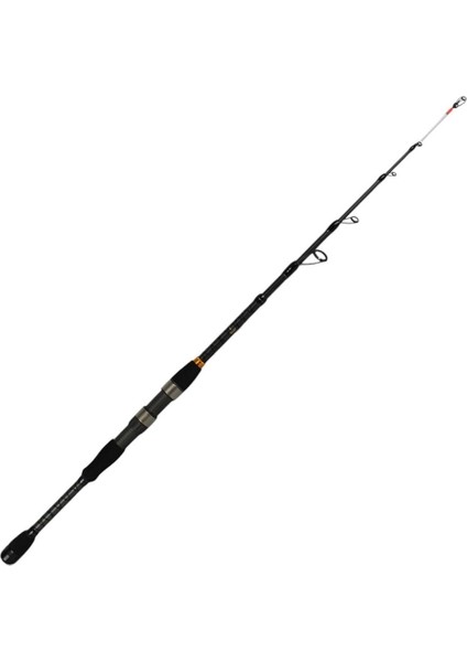 Big Cast Tele Spin 2,40 10-40 gr