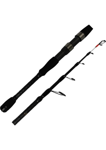 Big Cast Tele Spin 2,40 10-40 gr fiyatları