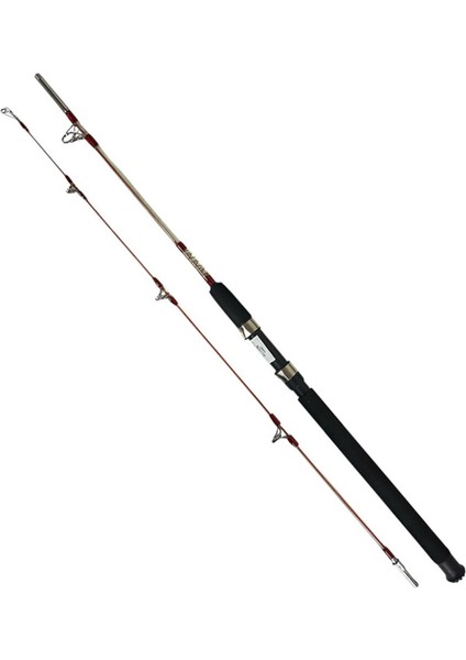 Pegasus 2.40M 100-200GR 2 Parça Kamış