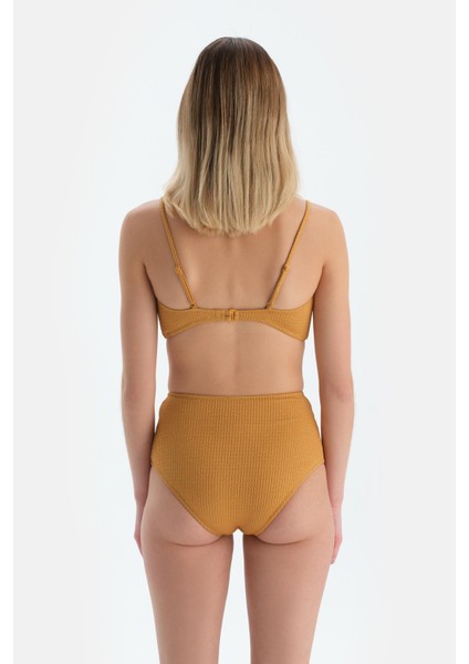 Hardal Yüksel Bel Bikini Alt fiyatları