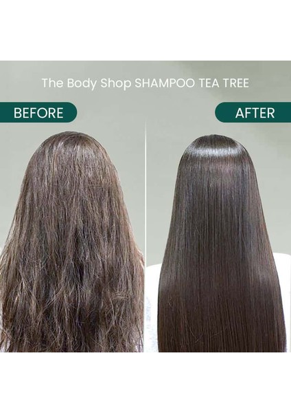 Çay Ağacı Arındırıcı ve Dengeleyici Şampuan 250 ml modelleri