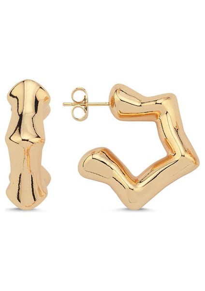 Stern Gold Küpe