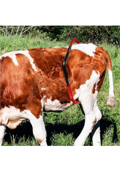 Tekmesavar (Boyalı) fırsatları