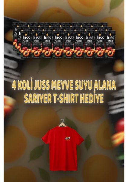 Elma Kayısı 27 x 200 ml