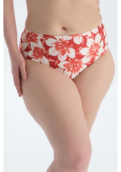 Multicolor Yüksek Bel Bikini Alt indirimleri