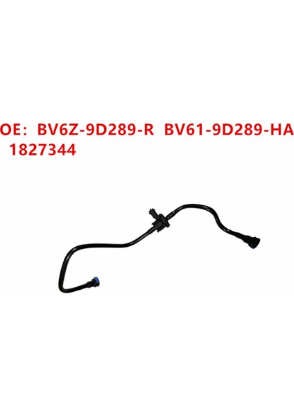 Karbon Hazne Solenoid Valf Grubu Borulu BV6Z-9D289-R BV61-9D289-HA 1827344 Ford Focus Için Yeni Yüksek Kalite (Yurt Dışından) fırsatları