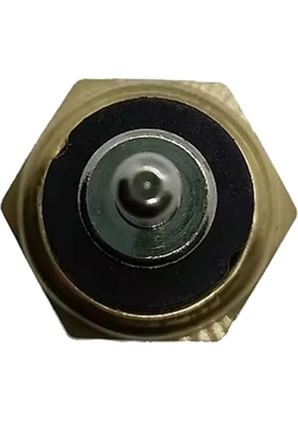 Benz W116 124 140 R126 Daewoo Ssangyong Vw 0055421017 0055422617 55421017 55422617 Için Motor Soğutma Suyu Sıcaklık Sensörü (Yurt Dışından)