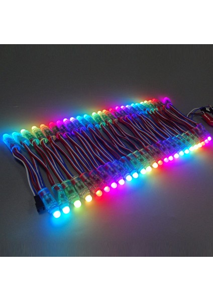 50 Adet WS2811 LED Piksel Işık Dize Reklam Dökme Su Geçirmez Tam Renkli Delikli Işık 12MM Dc 5 V (Yurt Dışından)