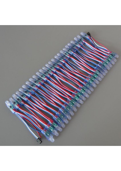 50 Adet WS2811 LED Piksel Işık Dize Reklam Dökme Su Geçirmez Tam Renkli Delikli Işık 12MM Dc 5 V (Yurt Dışından)