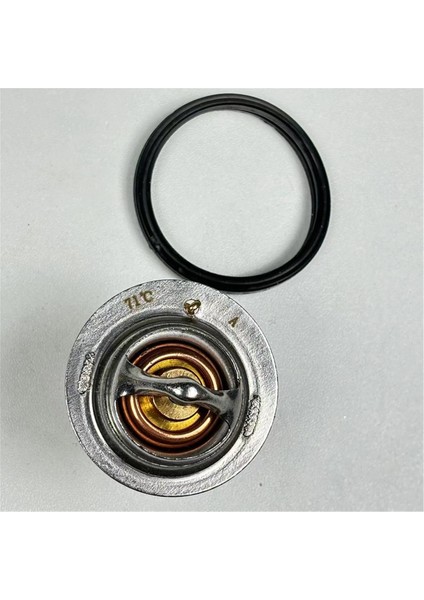 71℃ 160°F Termostat 129155-49801 Yanmar 4TNV84 4TNV84T 4TNV88 4TNE84 4TNE88 Için (Yurt Dışından) fırsatları