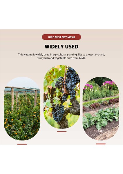 12M x 2.5m 13MM Delikli Bahçe Kuş Önleyici Ağ Naylon Düğümlü Sis Ağı (Yurt Dışından) fiyatları