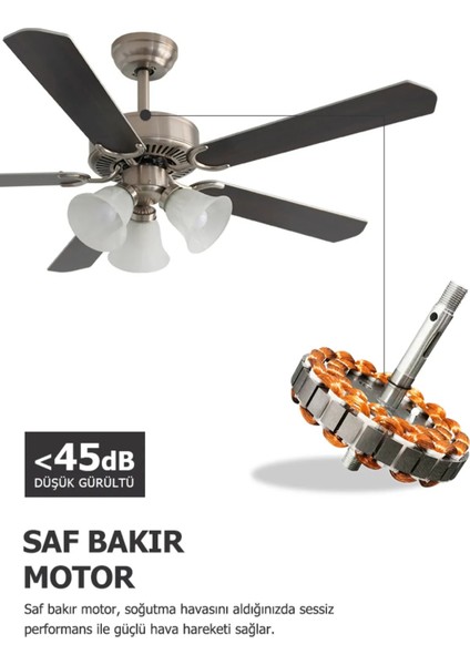 Brisote 132CM Mat Krom Motor 3 Lambalı Tavan Vantilatörü