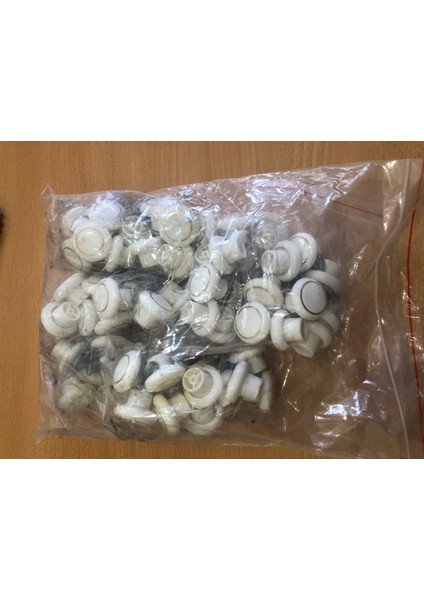 Plastik Düğme Kulp Beyaz 160 Adet fiyatları