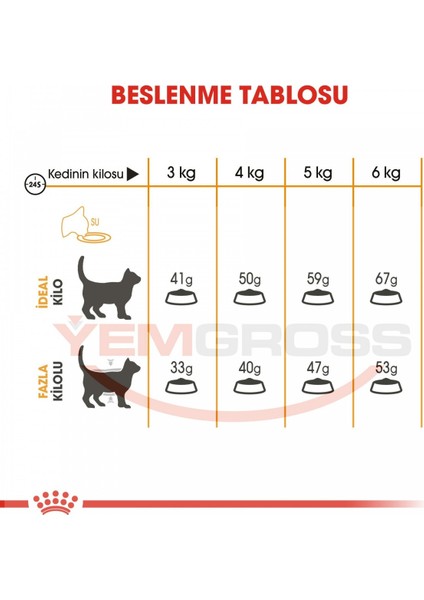Hair & Skin Deri ve Tüy Sağlığı İçin Kedi Maması 4 Kg