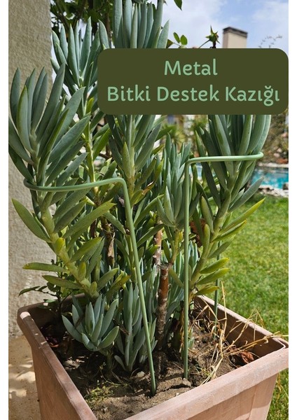 Bitki Destek Kazığı 3lü Set- Metal/yeşil fırsatları