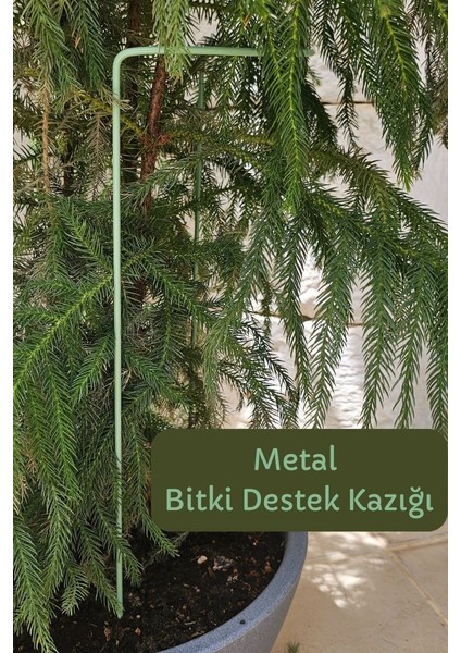 Bitki Destek Kazığı 3lü Set- Metal/yeşil indirimleri