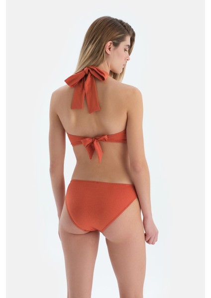 Kahverengi Straplez Bikini Üst fiyatları