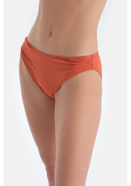 Kahverengi Normal Bel Bikini Alt indirimleri