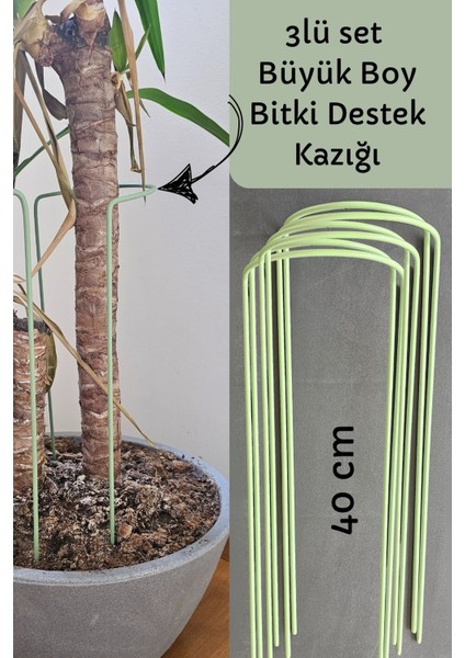 Bitki Destek Kazığı 3lü Set Büyük Boy (6 Adet)