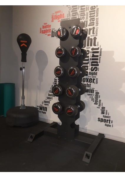 Vertical Dumbell Standı