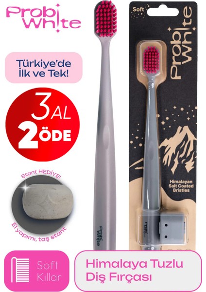 Probiwhite Himalaya Tuzlu Diş Fırçası (Gri) + Özel Tasarım Taş Stant