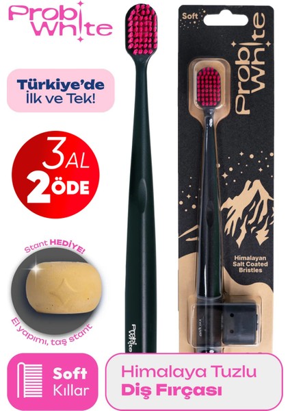 Probiwhite Himalaya Tuzlu Diş Fırçası (Siyah) + Özel Tasarım Taş Stant