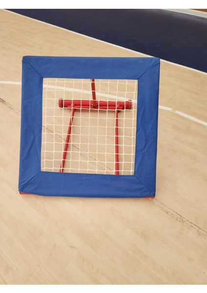 Basketbol Pas Trambolini fiyatları