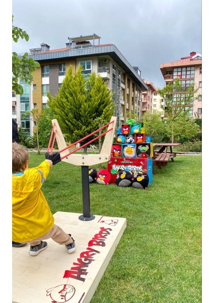 Angry Birds Sapan & Angry Birds Target fiyatları