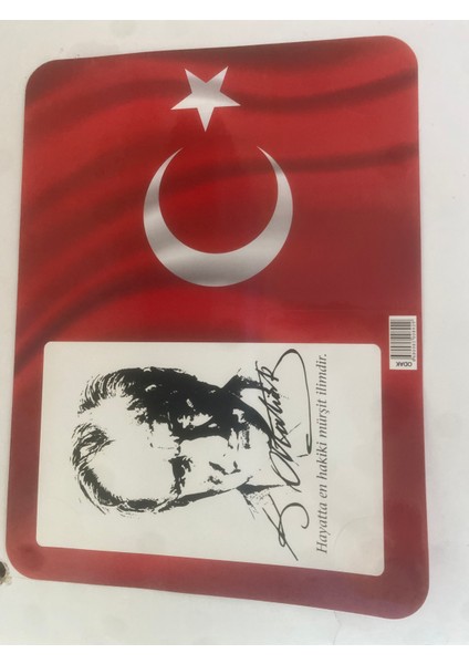Karne Kılıfı
