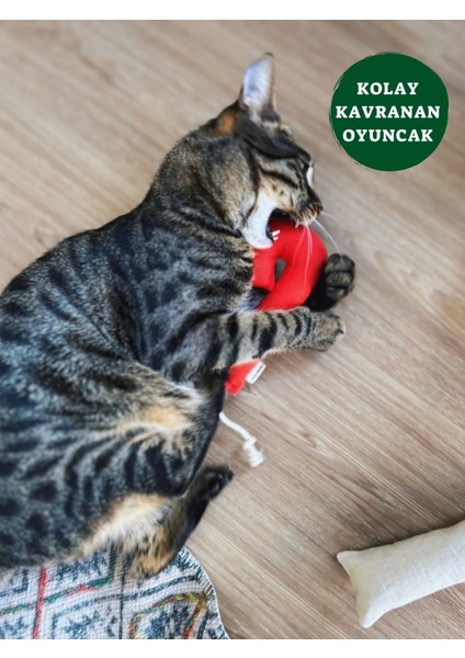 Pamuklu ve Doğa Dostu Kedi Oyuncağı Baston Şeker- Kedi Naneli