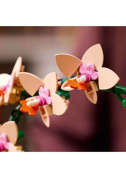 LEGO Botanicals Mini Orkide 10343 fiyatları